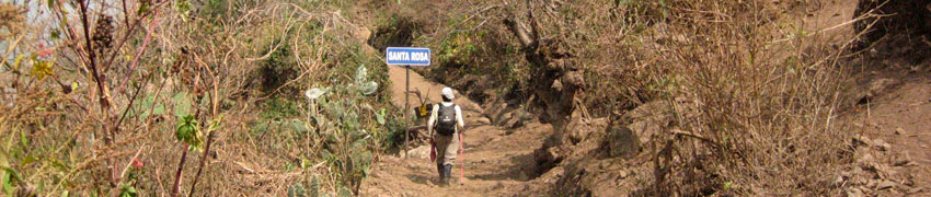 Choquequirao Trek