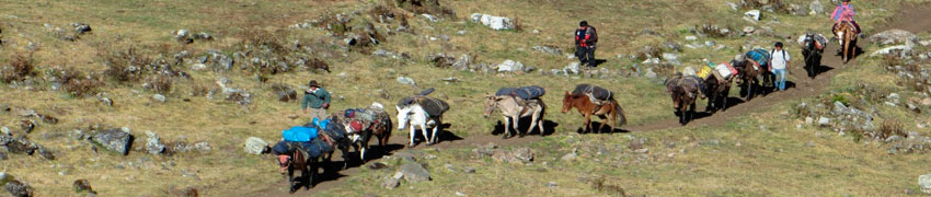 Choquequirao Trek