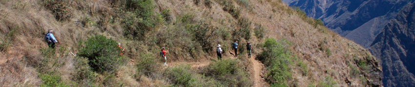 Choquequirao Trek + Machu Picchu