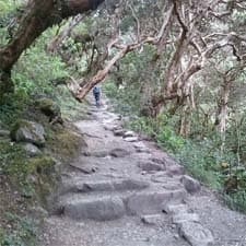 The Shortest Inca Trail