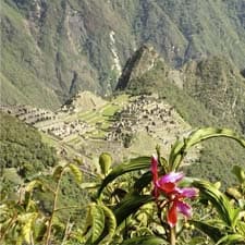 Inca Trail, tourism and conservation